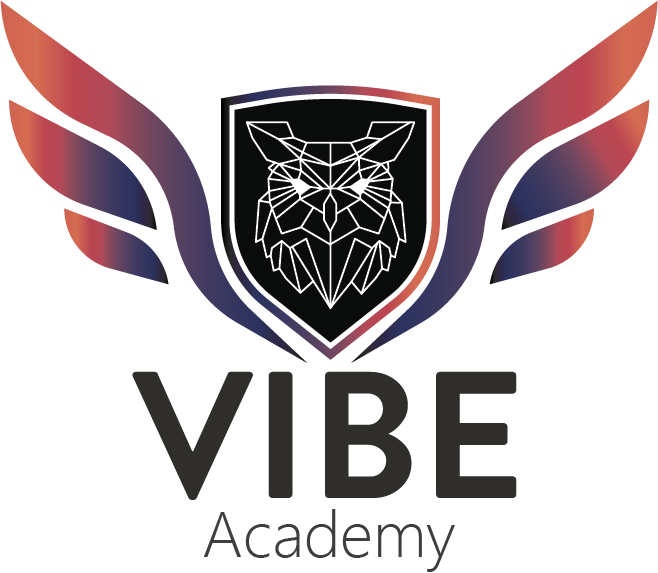 Centrul Educațional „Vibe Academy”
